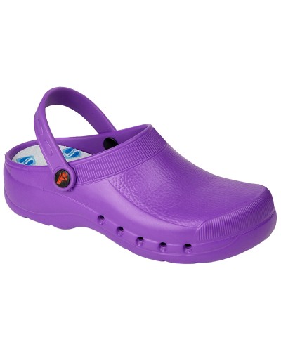 Zueco Violeta