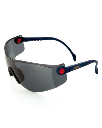 Pack Gafas de Seguridad Panorámica Gris