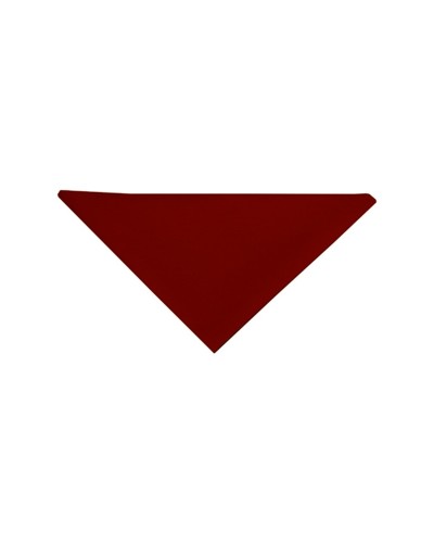 Pañuelo Triangular Negro