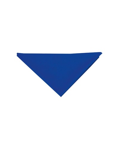Pañuelo Triangular Negro