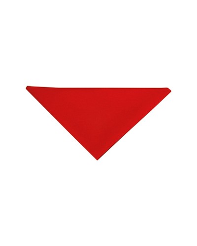 Pañuelo Triangular Negro