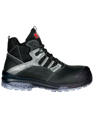 Bota